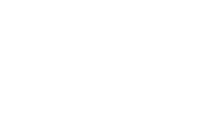 logo-weiss